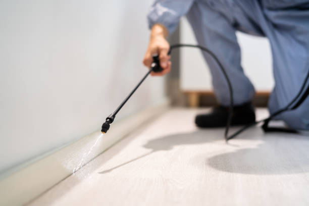 Licensed Rodent Control service in Arbuckle, CA - Nex Pest Control